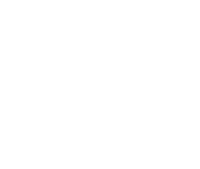 גם אני ארגון מגוון